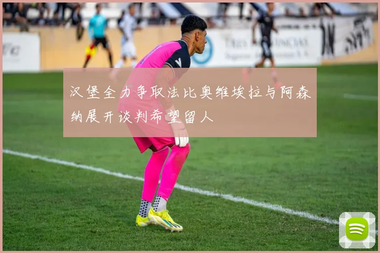 汉堡全力争取法比奥维埃拉与阿森纳展开谈判希望留人