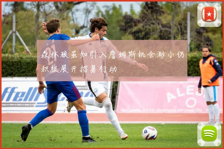 森林狼虽知引入詹姆斯机会渺小仍积极展开招募行动