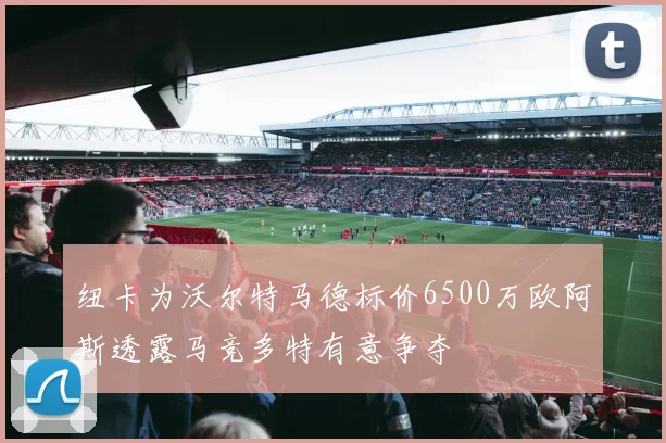 纽卡为沃尔特马德标价6500万欧阿斯透露马竞多特有意争夺
